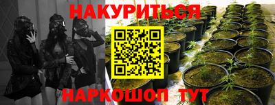 марихуана Северобайкальск