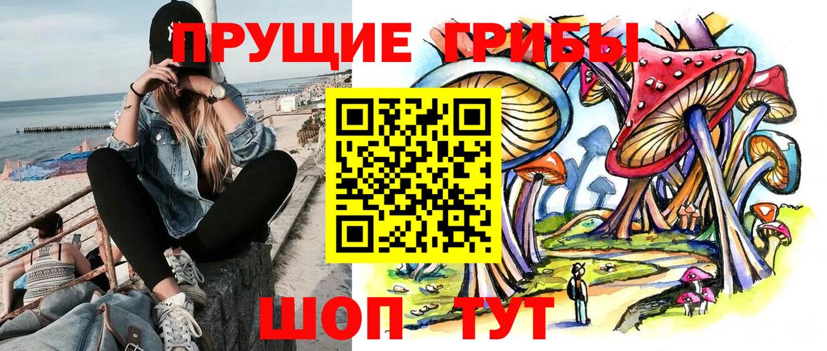 Сибай  Псилоцибиновые грибы MAGIC MUSHROOMS  Вход с VPN 